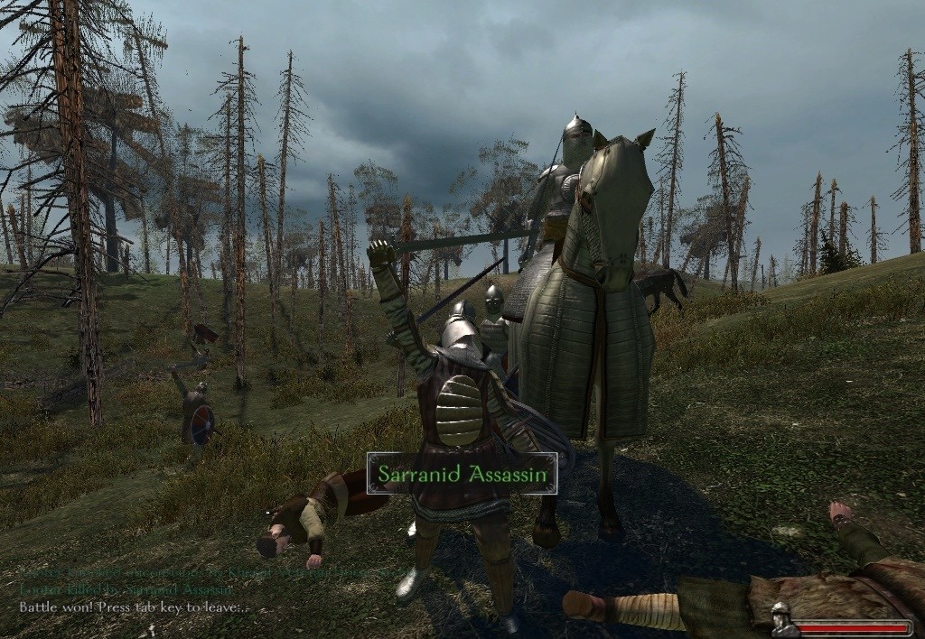 mount and blade warband 1.172 mods